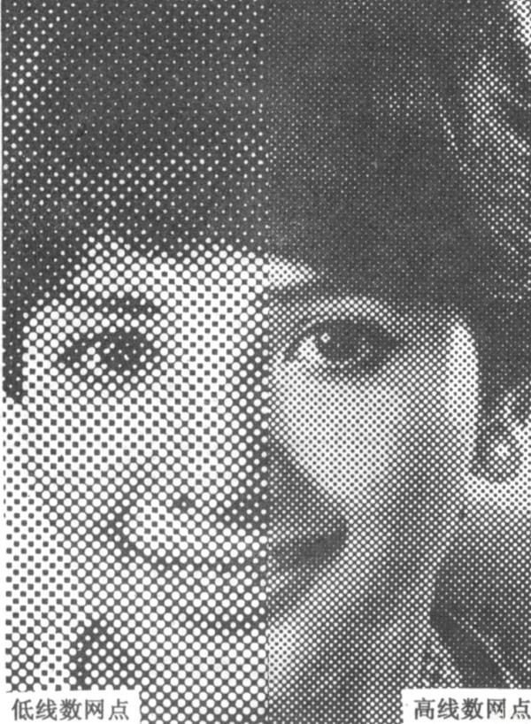 菲林5.jpg 菲林5.jpg